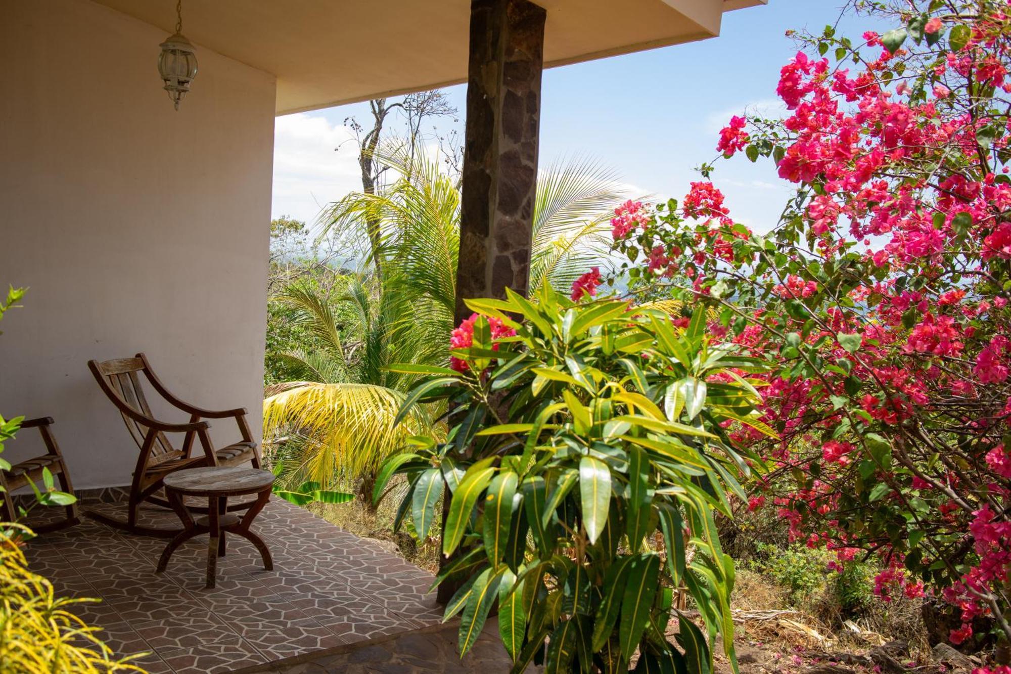 The Jungle Villa Merida Exterior photo